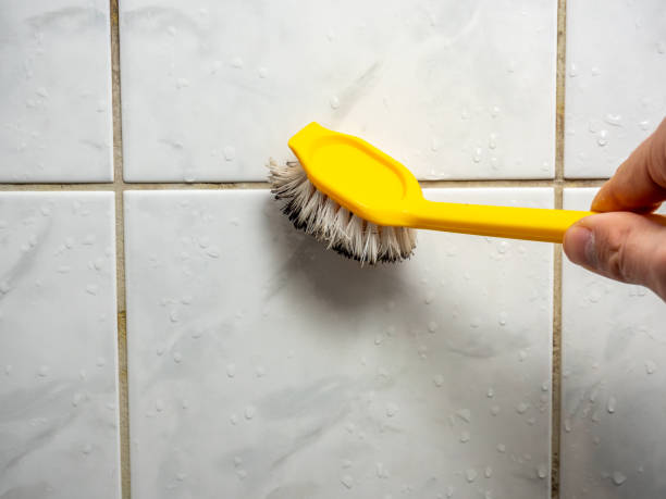 Best Affordable Mold Removal  in Palmyra, NJ