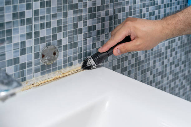 Best Home Mold Removal  in Palmyra, NJ